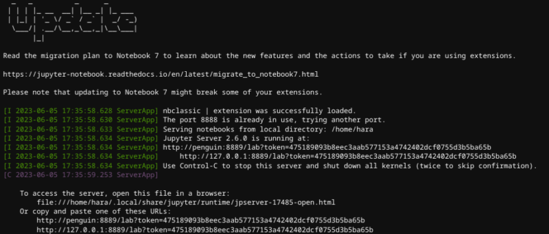Linux Terminal: Showing successful launch of Jupyter Lab